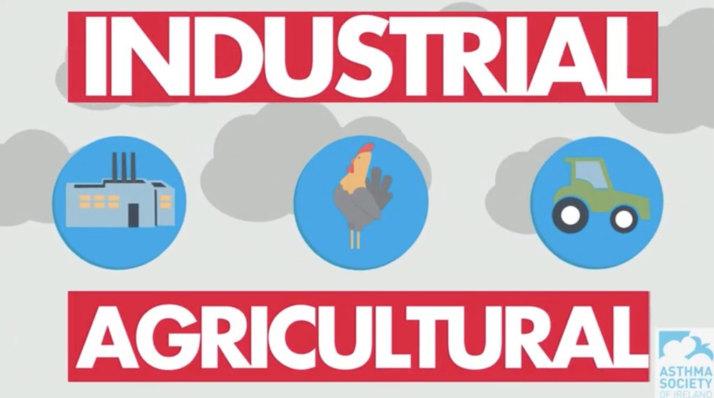 How to make a great EPK (Electronic Press Kit) for film production?